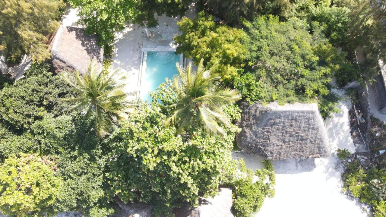 Garden Beach Bungalows Jambiani Jambiani (Zanzibar) Exterior foto