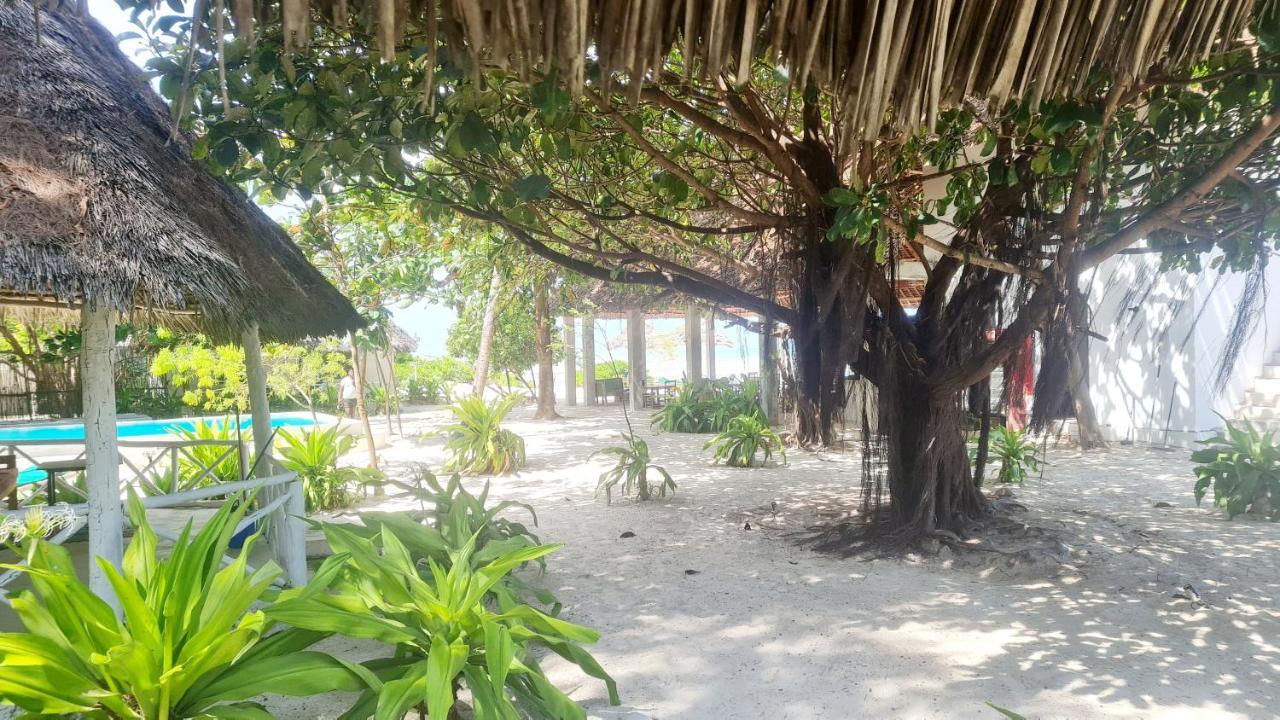 Garden Beach Bungalows Jambiani Jambiani (Zanzibar) Exterior foto
